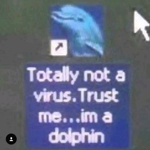 Meet your Posher, Bob